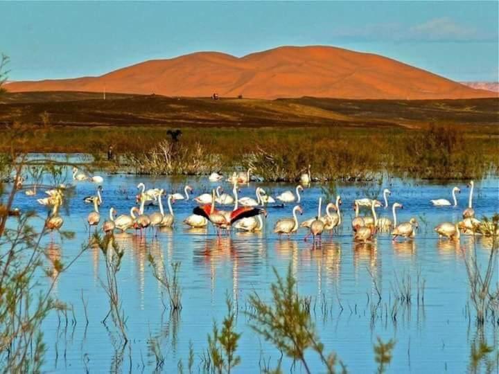 Maison Bedouin Merzouga Hotel Ngoại thất bức ảnh