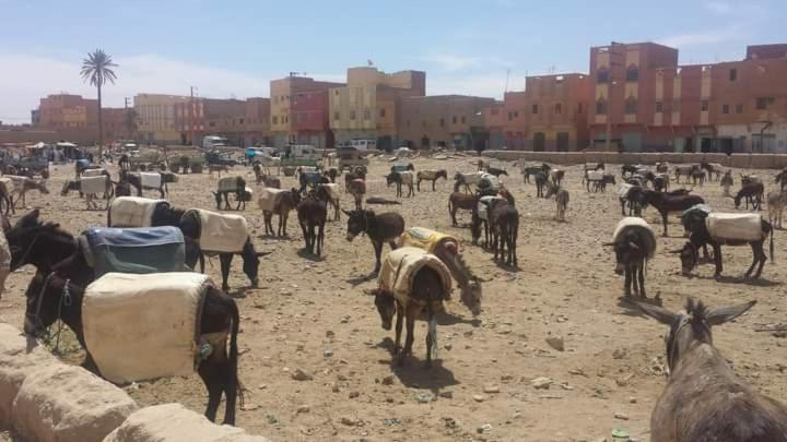 Maison Bedouin Merzouga Hotel Ngoại thất bức ảnh