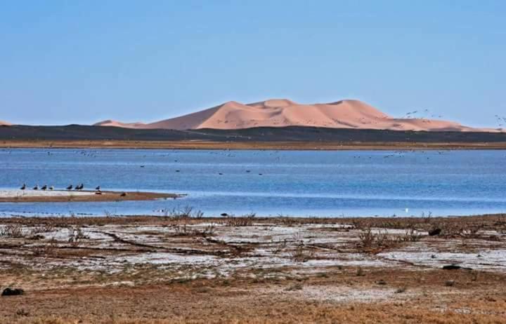 Maison Bedouin Merzouga Hotel Ngoại thất bức ảnh